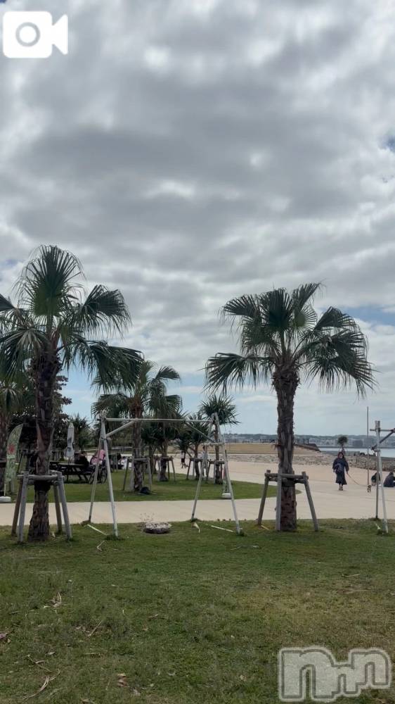 新潟デリヘル熟女の風俗 最終章(ジュクジョノフウゾクサイシュウショウ) ねね(38)の3月15日写メブログ「サンセットビーチNow😁🏖」