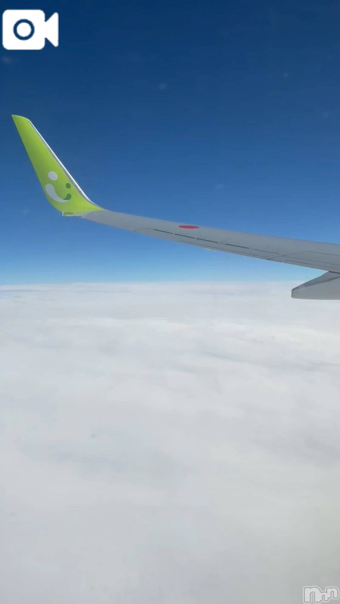 新潟デリヘル熟女の風俗 最終章(ジュクジョノフウゾクサイシュウショウ)ねね(38)の2026年3月12日写メブログ「ついに❣️ついにー❣️きてしまいました😍🌴✨」