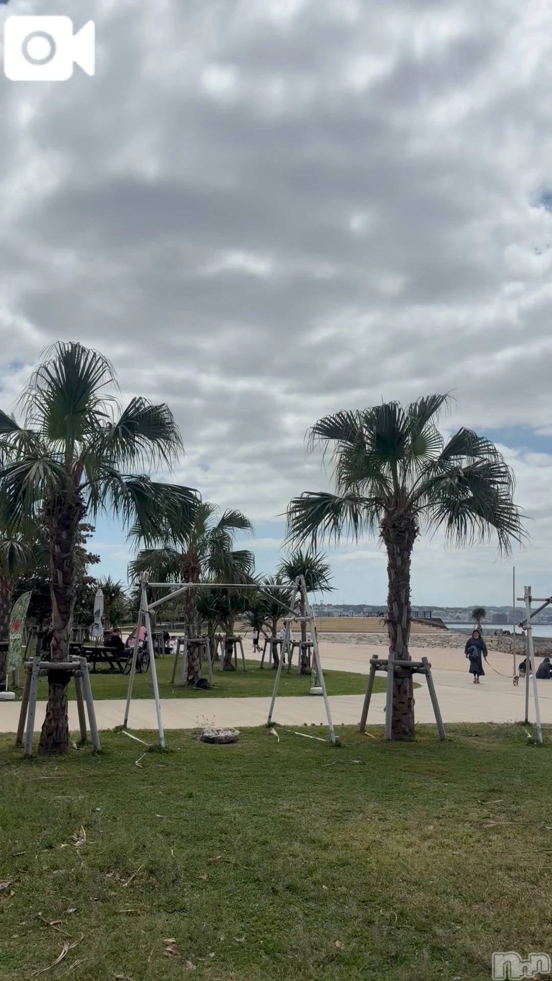 新潟デリヘル熟女の風俗 最終章(ジュクジョノフウゾクサイシュウショウ)ねね(38)の2026年3月15日写メブログ「サンセットビーチNow😁🏖」