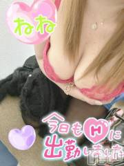 新潟デリヘル熟女の風俗 最終章(ジュクジョノフウゾクサイシュウショウ) ねね(38)の1月31日写メブログ「しゅっきーん❤️」