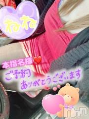 新潟デリヘル熟女の風俗 最終章(ジュクジョノフウゾクサイシュウショウ) ねね(38)の2月28日写メブログ「本指名様♡ご予約ありがとうございます❤️」