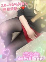 新潟人妻デリヘル熟女の風俗 最終章(ジュクジョノフウゾクサイシュウショウ) ねね(38)の12月17日写メブログ「本日もスタートからの舐め犬君🐶♡ご予約ありがとうございます🩷」