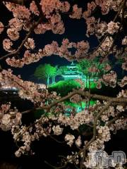 新潟デリヘル熟女の風俗 最終章(ジュクジョノフウゾクサイシュウショウ) ねね(38)の4月8日写メブログ「きちゃいました🤭❤️🌸」