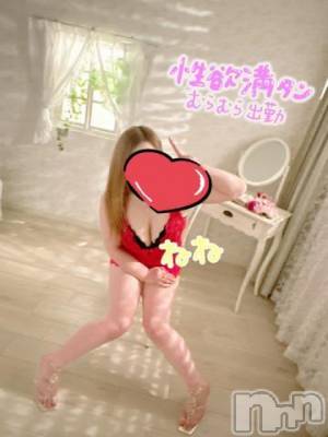 新潟デリヘル 熟女の風俗 最終章(ジュクジョノフウゾクサイシュウショウ) ねね(38)の4月15日写メブログ「しゅっきんだよー❤️」