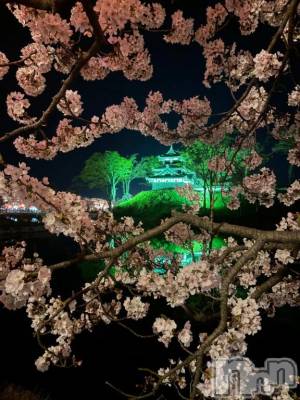 新潟デリヘル 熟女の風俗 最終章(ジュクジョノフウゾクサイシュウショウ) ねね(38)の4月8日写メブログ「きちゃいました🤭❤️🌸」