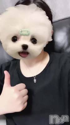 äȸƤ