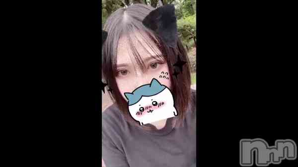 ֥ϥޥơ