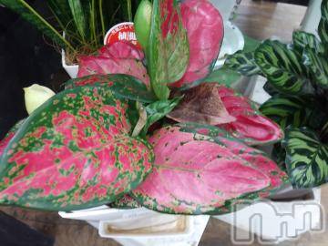 諏訪デリヘルThree＆Men’s Spa(スリー＆メンズスパ) まりこスリー(60)の9月11日写メブログ「ありがとうございました🎵」