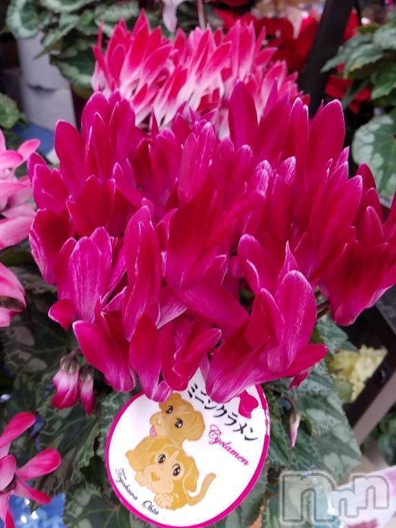 諏訪デリヘルThree＆Men’s Spa(スリー＆メンズスパ)まりこスリー(60)の2025年11月24日写メブログ「あったかいですね(^^)」