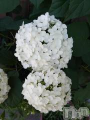 諏訪デリヘルThree＆Men’s Spa(スリー＆メンズスパ) まりこスリー(60)の6月24日写メブログ「ありがとうございました😊」