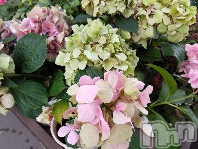 諏訪デリヘル Three＆Men’s Spa(スリー＆メンズスパ) まりこスリー(60)の6月13日写メブログ「おやすみなさい」