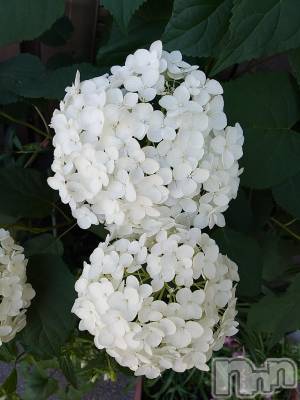 諏訪デリヘル Three＆Men’s Spa(スリー＆メンズスパ) まりこスリー(60)の6月24日写メブログ「ありがとうございました😊」