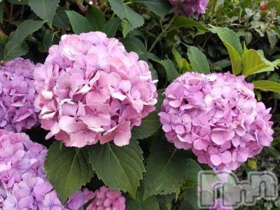 諏訪デリヘル Three＆Men’s Spa(スリー＆メンズスパ) まりこスリー(60)の6月27日写メブログ「ありがとう?」