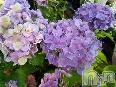 松本発デリヘルThree＆Men’s Spa(スリー＆メンズスパ) まりこスリー(60)の6月14日写メブログ「ありがとう(^^)」