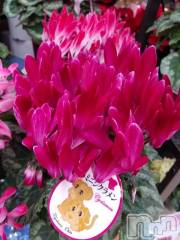 松本発デリヘルThree＆Men’s Spa(スリー＆メンズスパ) まりこスリー(60)の11月24日写メブログ「あったかいですね(^^)」