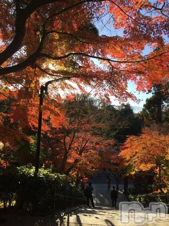 新潟デリヘル熟女の風俗 最終章(ジュクジョノフウゾクサイシュウショウ) はるか(39)の10月23日写メブログ「ありがとうございました❤️」