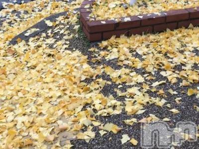 新潟デリヘル 熟女の風俗 最終章(ジュクジョノフウゾクサイシュウショウ) はるか(39)の11月26日写メブログ「🦢」