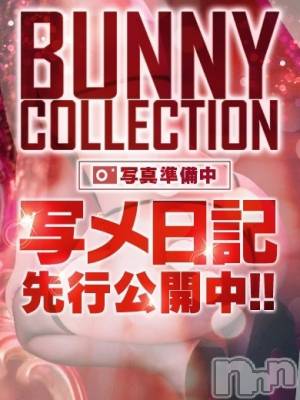 エリカ(22) 身長168cm、スリーサイズB84(C).W57.H85。新潟ソープ 新潟バニーコレクション(ニイガタバニーコレクション)在籍。