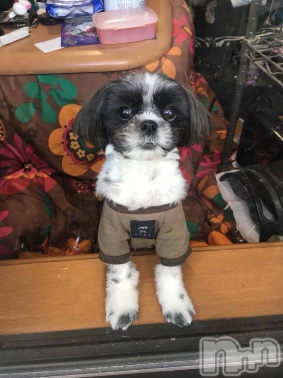 新潟デリヘル熟女の風俗 最終章(ジュクジョノフウゾクサイシュウショウ) りく(31)の5月23日写メブログ「出勤ちました😊」