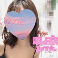 新潟デリヘル デリヘル新潟(デリヘルニイガタ)の2月25日お店速報「早割り開催中」