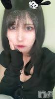 Ĺ襳ѥ˥󥯥֥ѥ˥󥯥  520̥֥