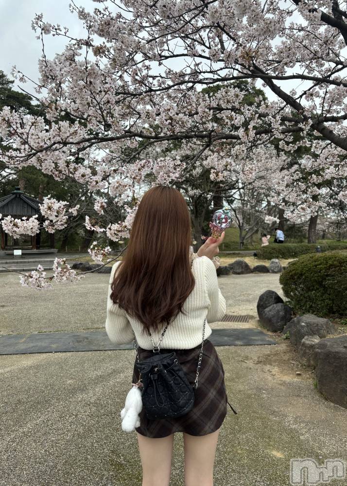 ��ȯ�ĥ���Х��顦�����double(���֥�) �Ҥʤ�4��8���̥�֥�������ˡ����🪄🩷��