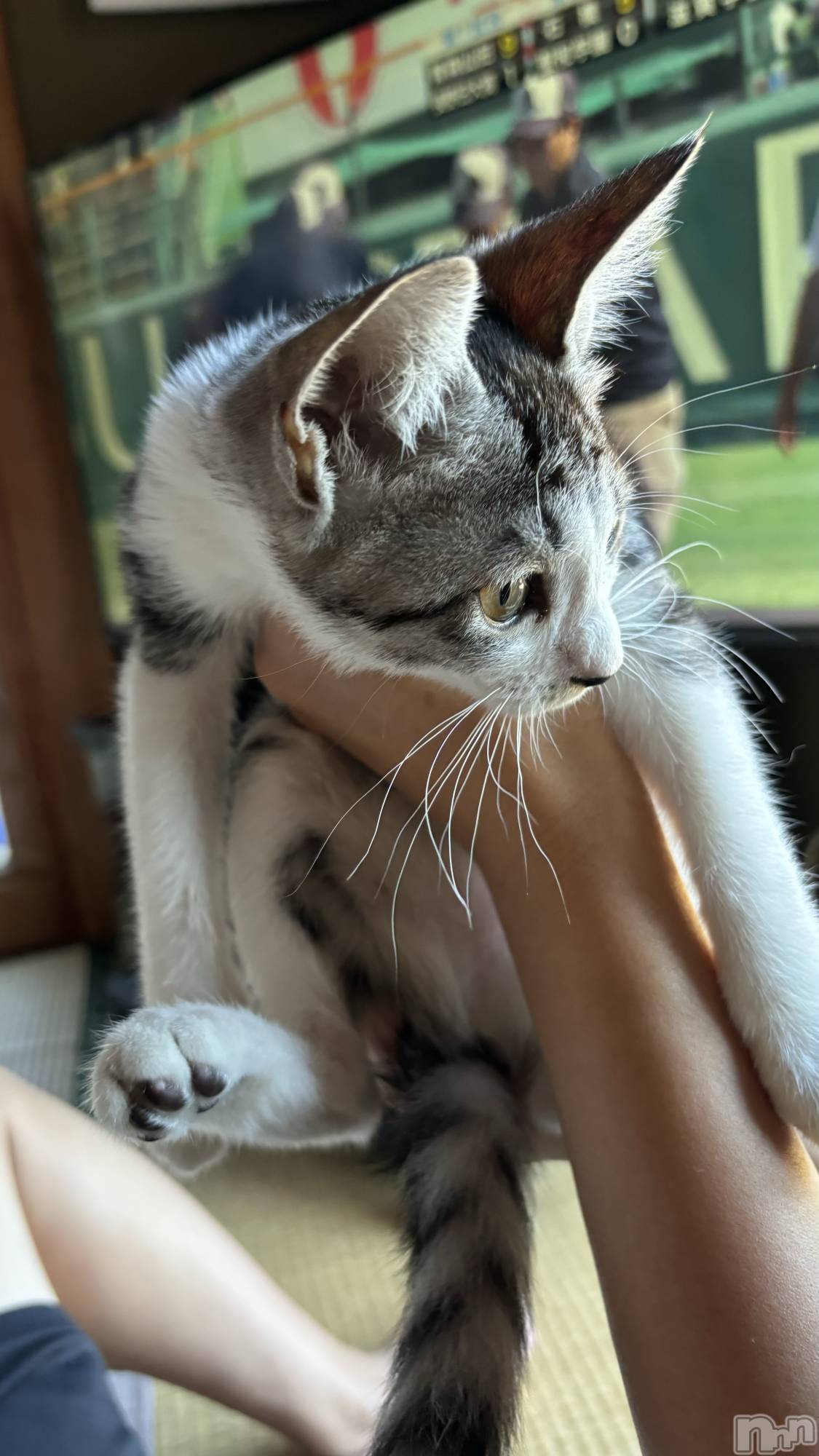 ȯĥХ顦La.DOUBLE(֥) 2024ǯ814̥֥🐈🩷