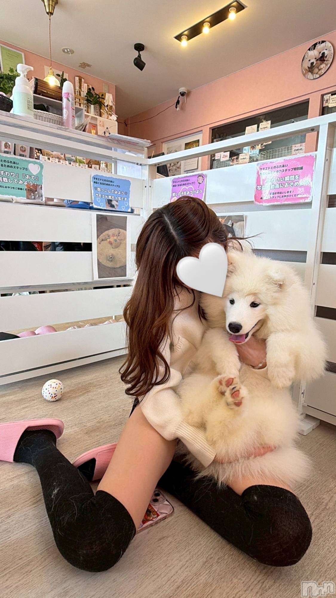 ��ȯ�ĥ���Х��顦�����double(���֥�) ��2026ǯ2��3���̥�֥��������繬������🌟��