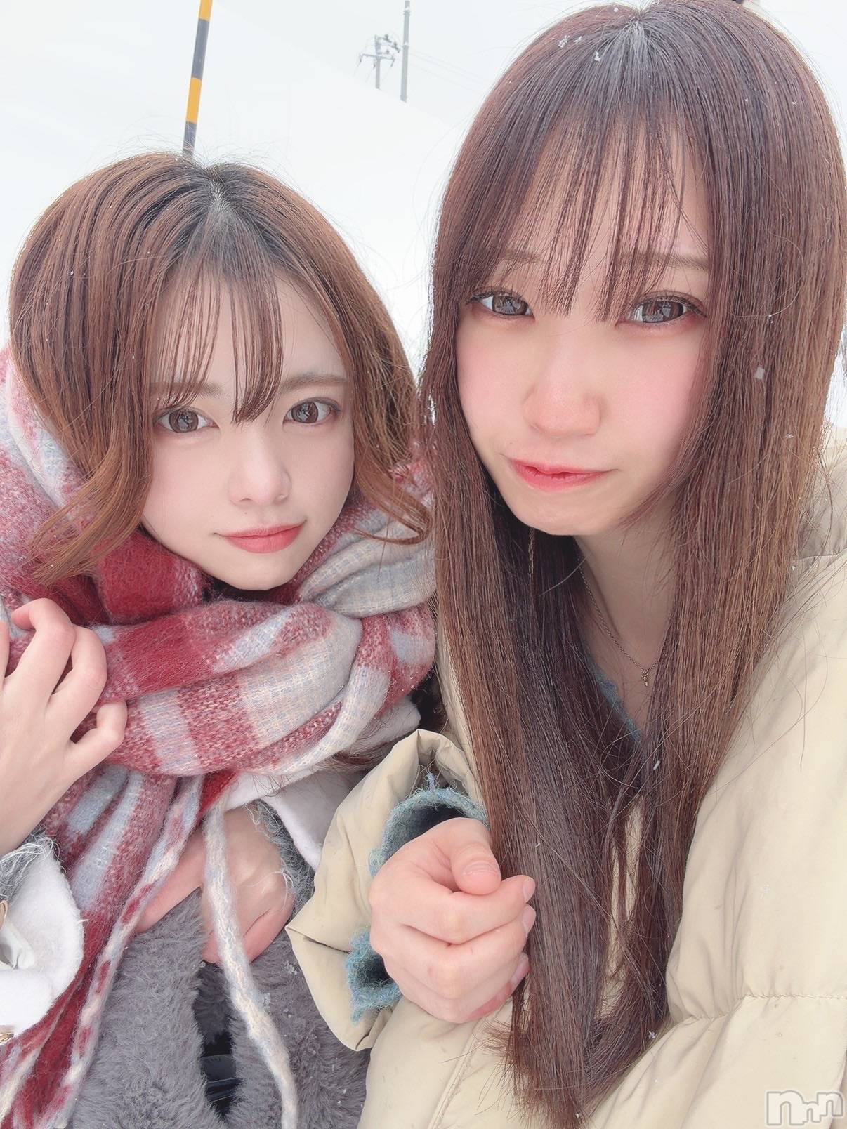 ��ȯ�ĥ���Х��顦�����double(���֥�) ��2026ǯ2��5���̥�֥����ֶ����ʤ����ͳ���Τä���