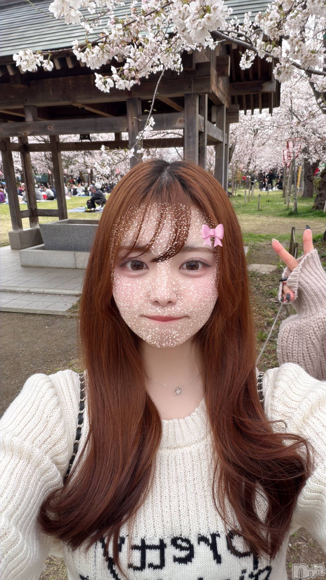 ��ȯ�ĥ���Х��顦�����double(���֥�) ��2026ǯ4��6���̥�֥����֤��Ϥ��☀️��