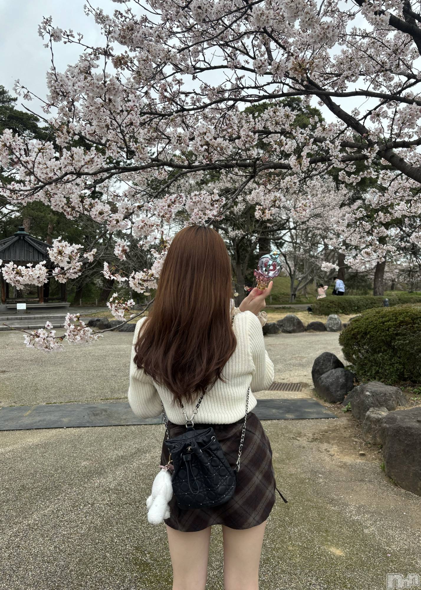 ��ȯ�ĥ���Х��顦�����double(���֥�) ��2026ǯ4��8���̥�֥�������ˡ����🪄🩷��