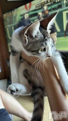 ȯĥХ顦La.DOUBLE(֥) Ҥ(22)814̥֥🐈🩷