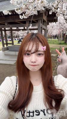 ��ȯ�ĥ���Х��顦�����double(���֥�) �Ҥ�(23)��4��6���̥�֥����֤��Ϥ��☀️��