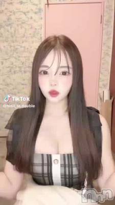 1113 0834ʬư