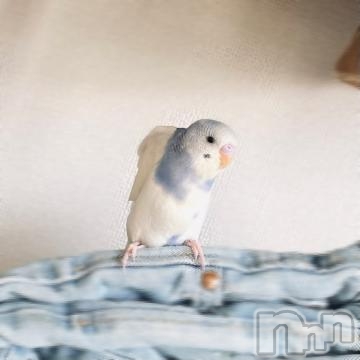 上田発人妻デリヘルBIBLE～奥様の性書～(バイブル～オクサマノセイショ～) ★レイ★(25)の2月4日写メブログ「チビちゃんズ」