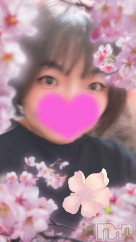 新潟人妻デリヘル熟女の風俗 最終章(ジュクジョノフウゾクサイシュウショウ)あん(47)の2024年4月12日写メブログ「こんにちは」