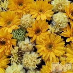 新潟デリヘル熟女の風俗 最終章(ジュクジョノフウゾクサイシュウショウ) あん(47)の11月23日写メブログ「こんにちは」