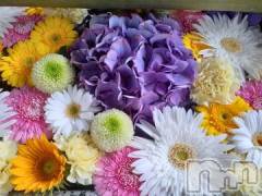 新潟デリヘル熟女の風俗 最終章(ジュクジョノフウゾクサイシュウショウ) あん(47)の7月8日写メブログ「おはようございます🎵🎵」