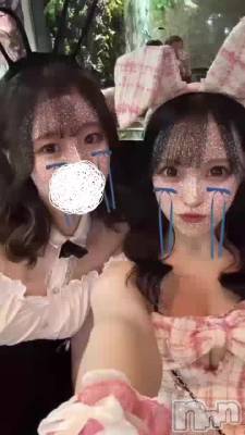 Хˡ🐰❕