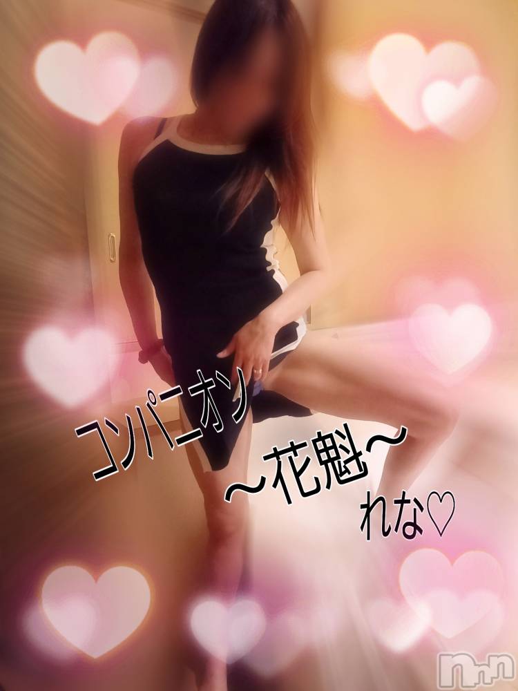 襳ѥ˥󥯥־ۥѥ˥󥯥֡ե(祦ĥѥ˥󥯥֡ե) ʡȴ1121̥֥ڤ~~~🎶