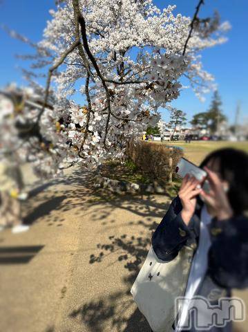 長岡デリヘル純・無垢(ジュンムク) きくの(21)の4月2日写メブログ「休日𓂃🌸𓈒𓏸」