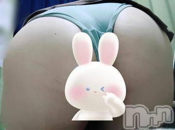 三条ぽっちゃり 新潟三条燕ちゃんこ(ニイガタサンジョウツバメチャンコ) さりな(21)の2月26日写メブログ「待機中、??」