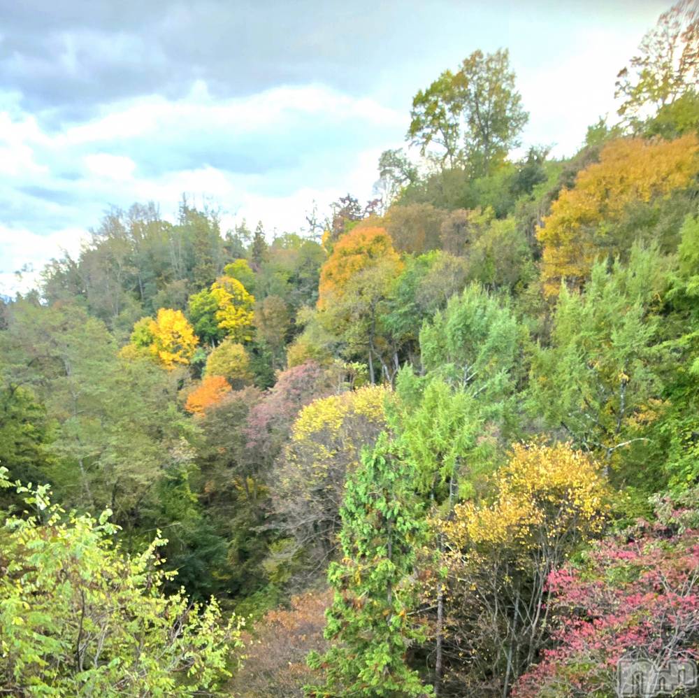 ƲХ顦֥ ץ Ĺ( ץ ʥ) Ҥ1112̥֥֤Ф🌉