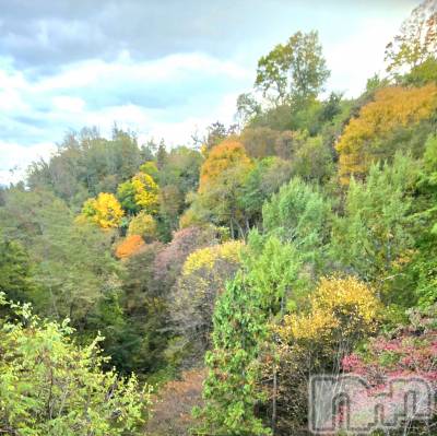 ƲХ顦֥ ץ Ĺ( ץ ʥ) (23)1112̥֥֤Ф🌉