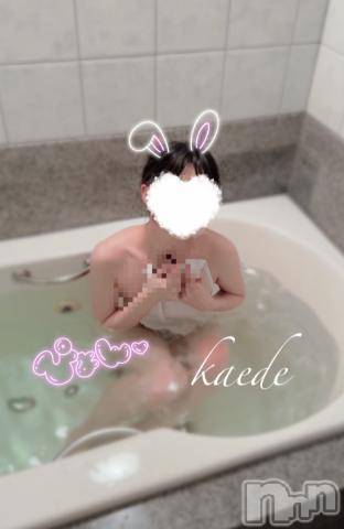 新潟デリヘルデリヘル新潟(デリヘルニイガタ) かえで(22)の8月5日写メブログ「むしむし」