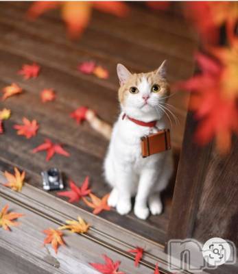 上田発デリヘル 人妻華道 上田店(ヒトヅマハナミチウエダテン) 【熟女】けい(52)の11月10日写メブログ「今日もありがとうございました🥰」