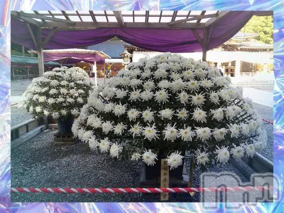 新潟デリヘル熟女の風俗 最終章(ジュクジョノフウゾクサイシュウショウ) ゆきの(43)の11月16日写メブログ「私は安定感重視♡」