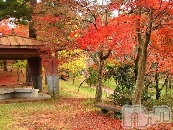 新潟デリヘル熟女の風俗 最終章(ジュクジョノフウゾクサイシュウショウ) ゆきの(43)の11月21日写メブログ「毎年ひどい♡」