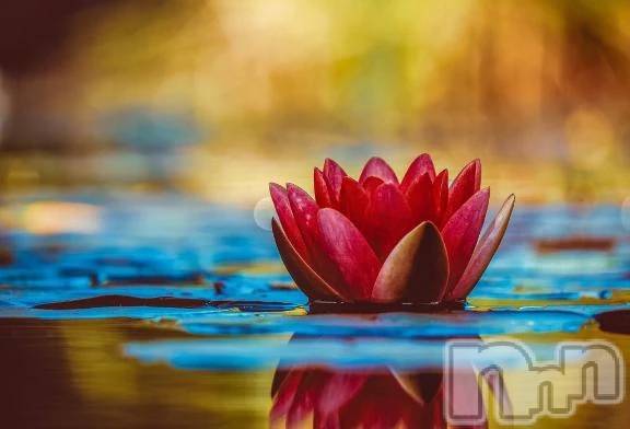 新潟デリヘル熟女の風俗 最終章(ジュクジョノフウゾクサイシュウショウ)ゆきの(43)の2025年12月9日写メブログ「小さな親切♡」