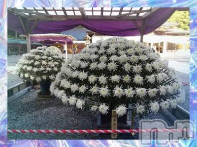 新潟デリヘル 熟女の風俗 最終章(ジュクジョノフウゾクサイシュウショウ) ゆきの(43)の11月16日写メブログ「私は安定感重視♡」